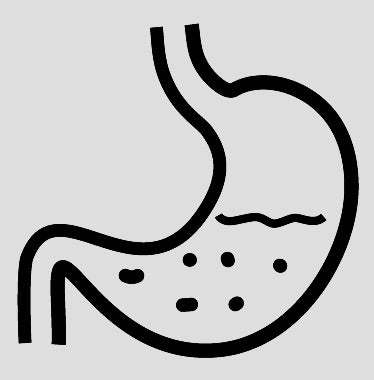 Die Schleimhaut – das übersehene Organ im Hunde- und Katzendarm