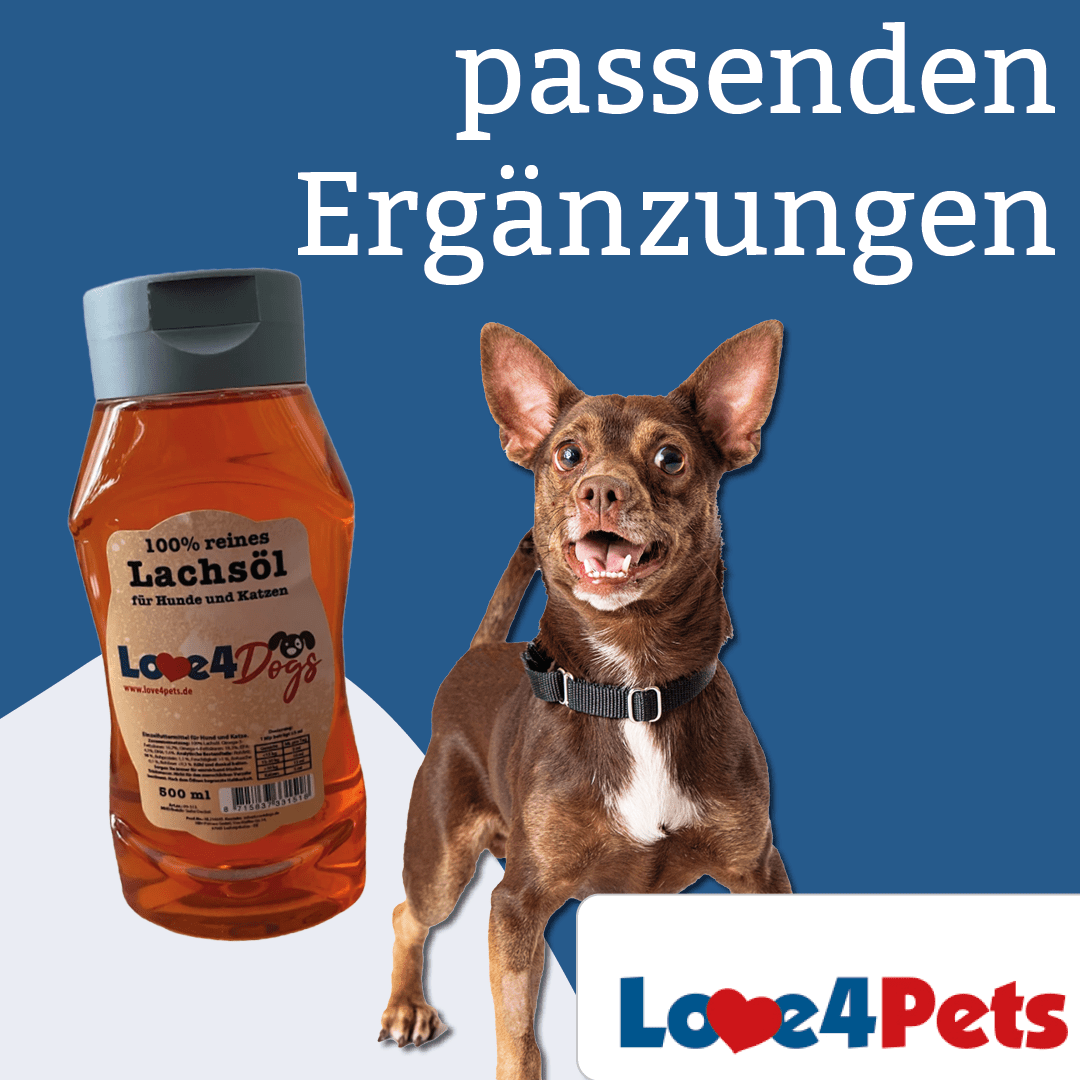 Fischallergien bei Hunden und die Verwendung von Fischölen - Love4Pets