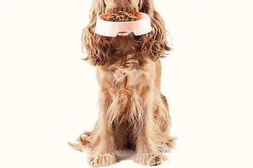 Singlefleisch Hundewurst schnittfest (97% Muskelfleisch) in 10 Sorten 800g - Love4Pets