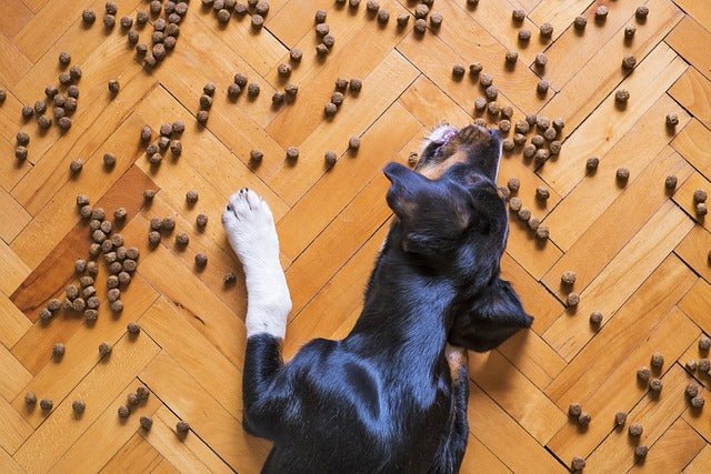 Mäkelhunde unerwünscht!