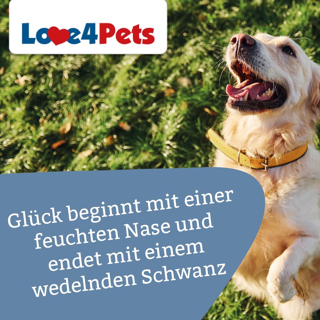 Angebote-und-Bundles Love4Pets