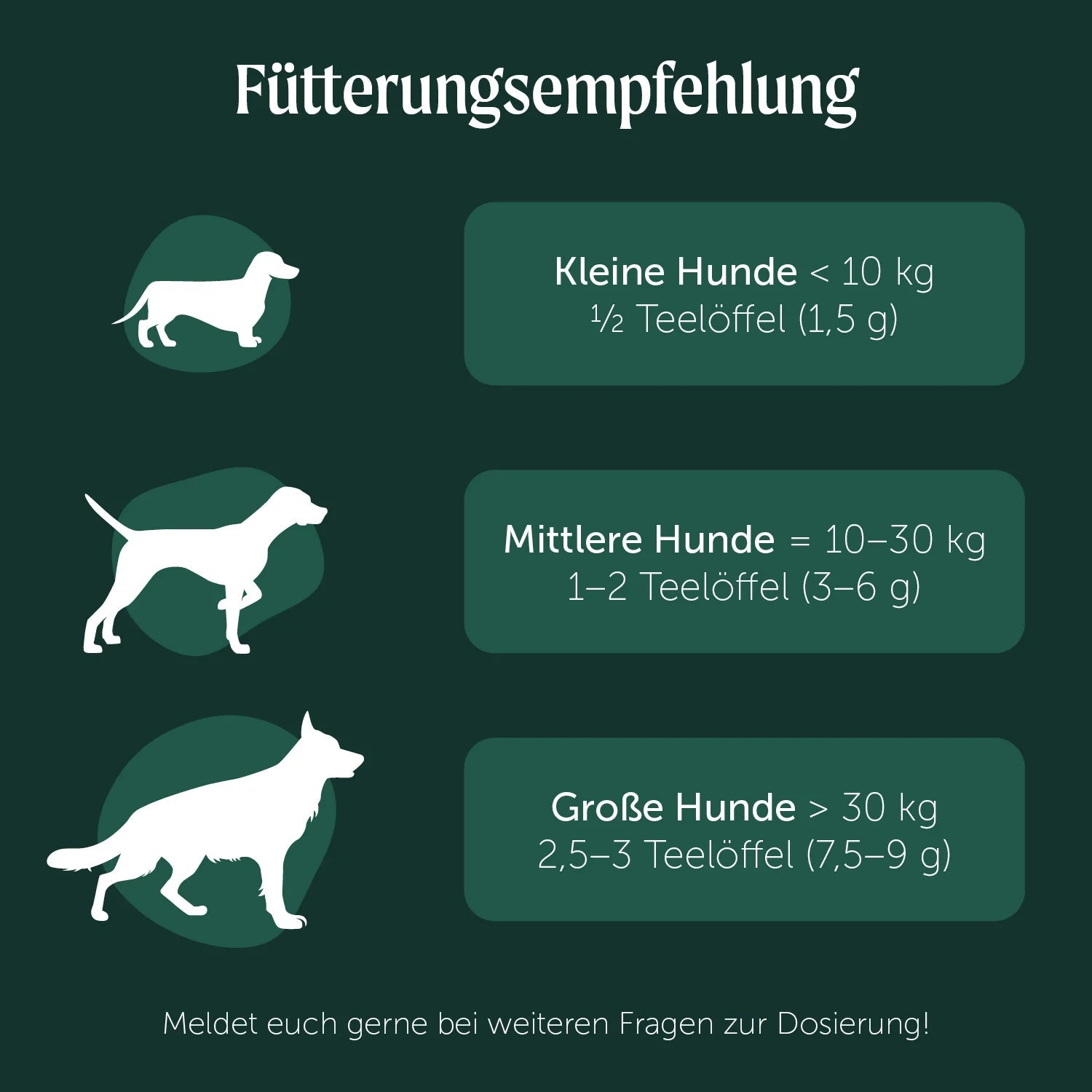 Belly Boost Für ein besseres Wohlbefinden - Love4Pets