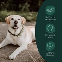 Belly Boost Für ein besseres Wohlbefinden - Love4Pets