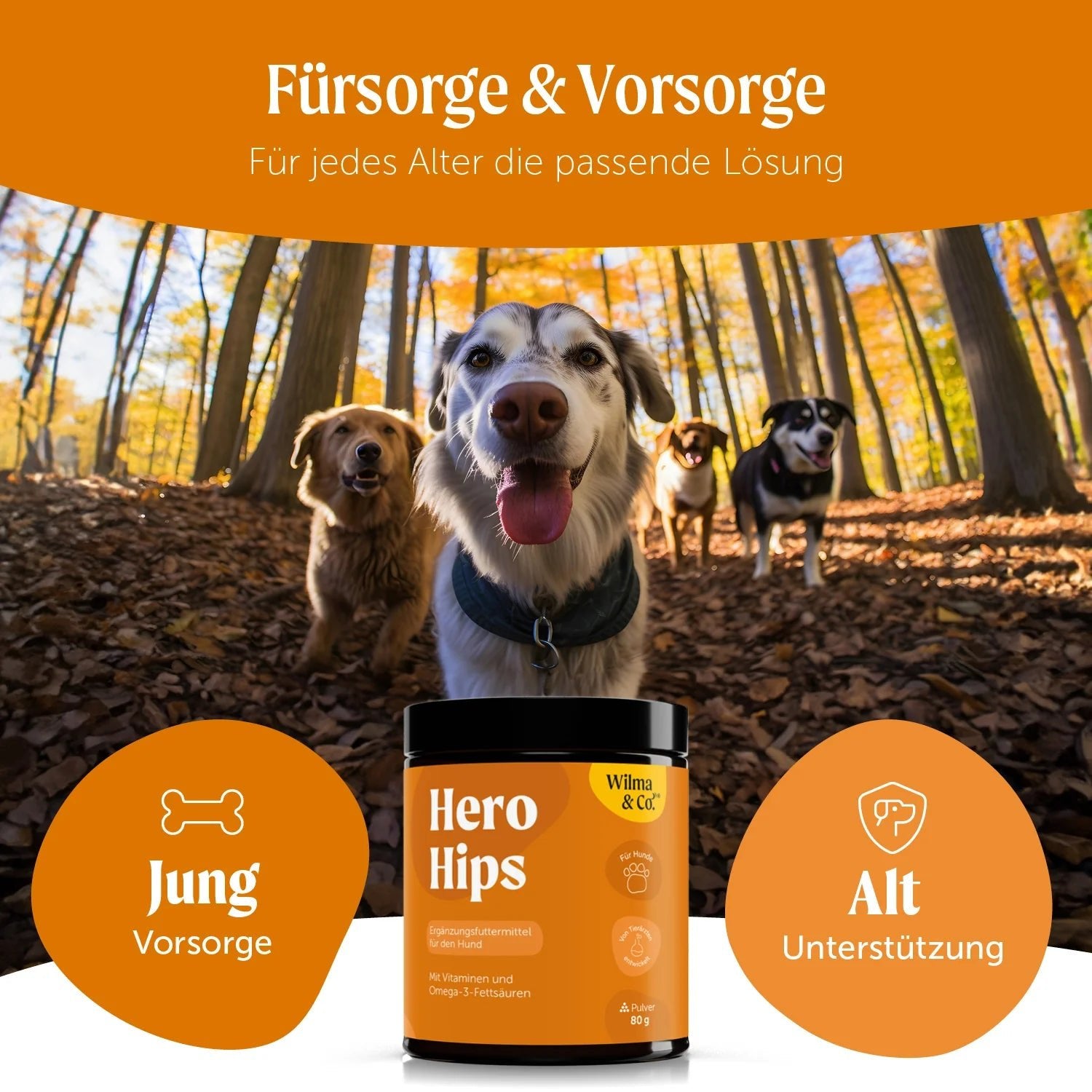 Hero Hips - Pulver für den Bewegungsapparat - Love4Pets