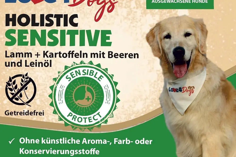 Love4Dog´s HOLISTIC Nassfutter Lamm und Kartoffel mit Beeren und Leinöl 6x400g - Love4Pets