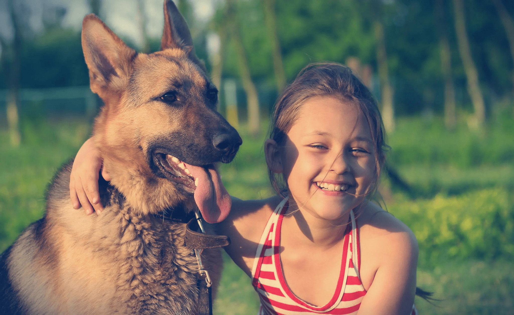 Markknochen für Hunde mit Calcium Pastete - Love4Pets