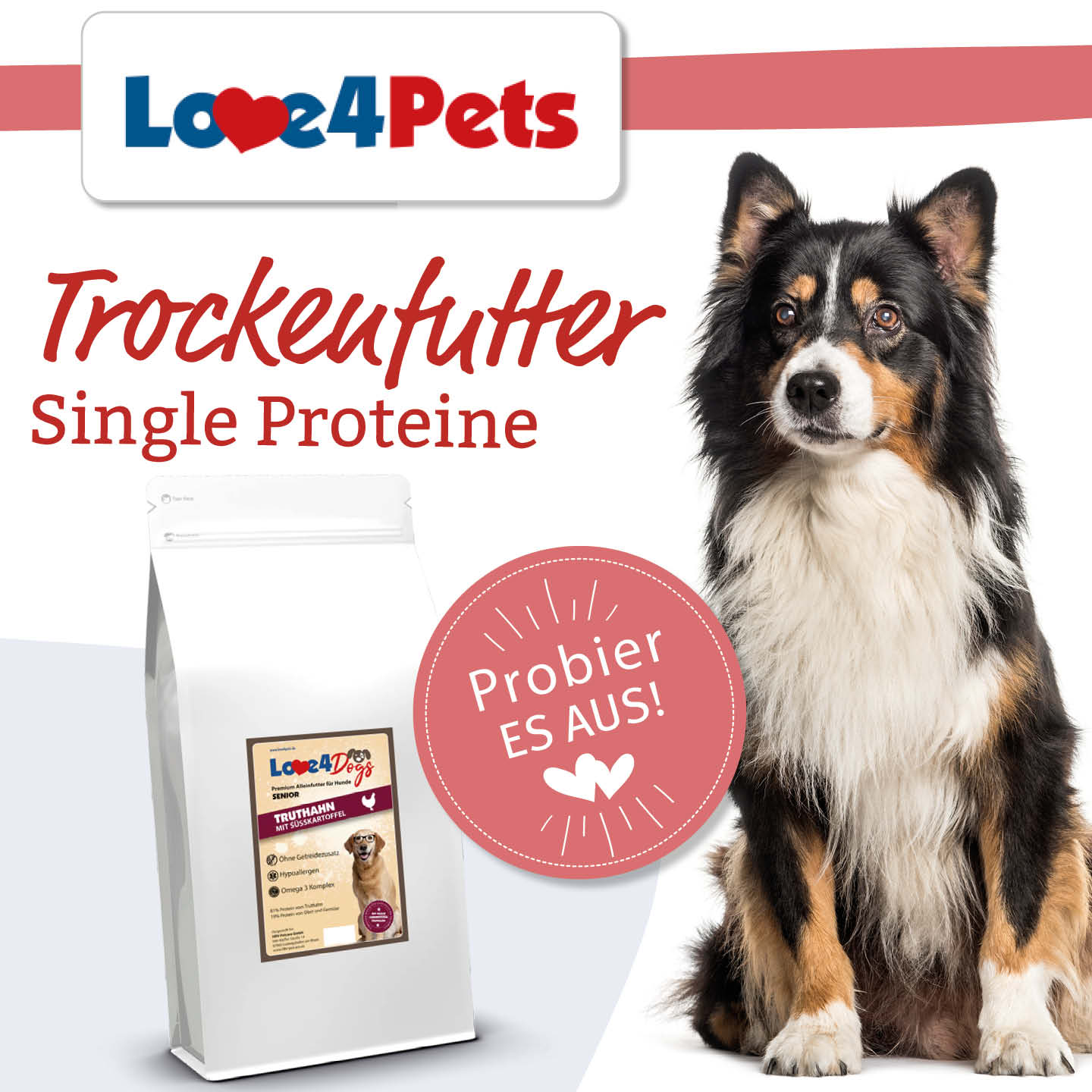 Trockenfutter-Testpaket adult - Love4Pets